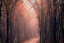 这也行?C罗成为格斗游戏《饿狼传说 群狼之城》可操纵角色.