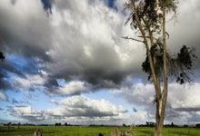 最强冠军命无了⁉️马竞退出争冠,小蜘蛛旅欧或首度无缘联赛冠军.